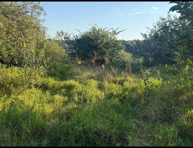 LAND FOR SALE IN ZINI RIVER ESTATE
